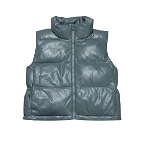 Aritzia Blue Puffer Vest